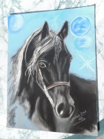 /album/chevaux/photo-1718-jpg/